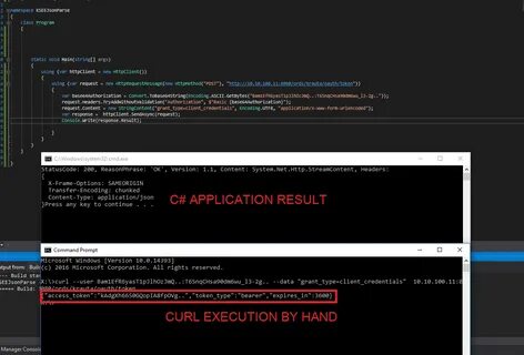 Curl post example