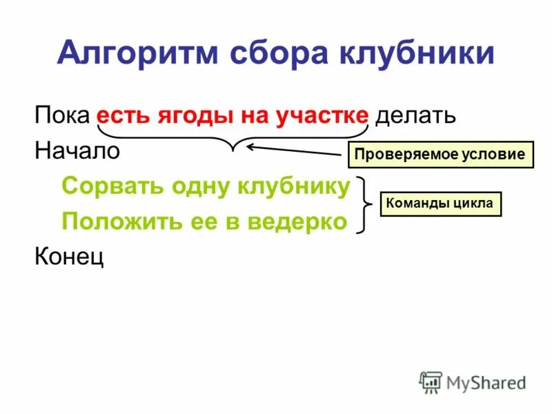 Алгоритм по сбору клубники. Алгоритм сбора системы