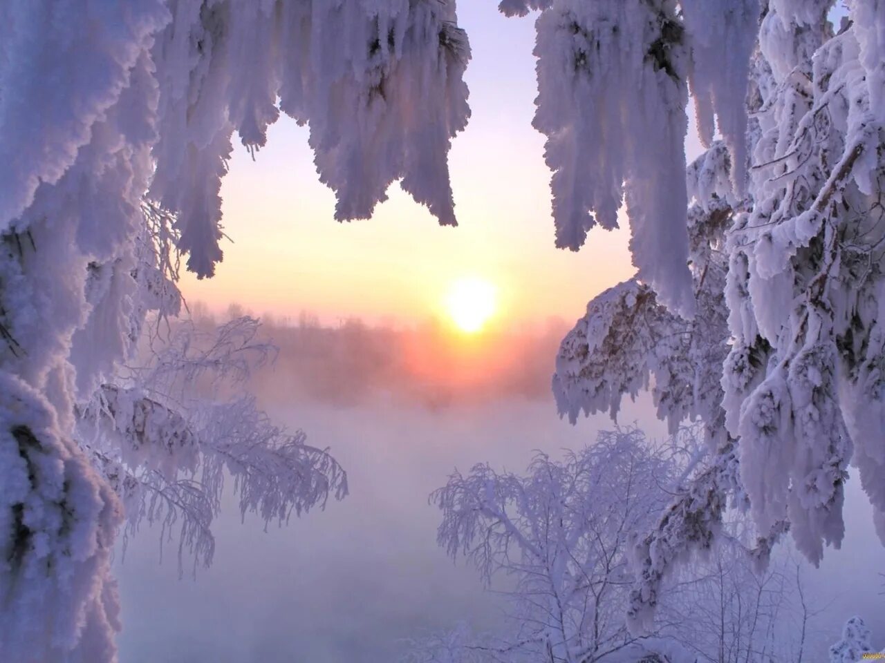 В морозном воздухе тихо. Рассвет в зимнем лесу. Зимний лес солнце. Морозное утро. Зимнее утро.