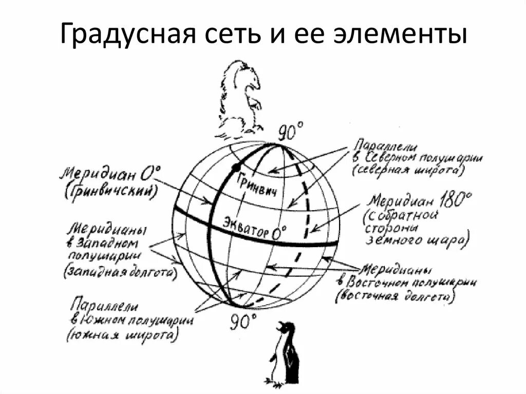 Градусная сетка полушарий. Экватор Меридиан параллель. Главные линии градусной сети на карте полушарий. Меридианы земли схема. Параллели и меридианы. Экватор и нулевой Меридиан.