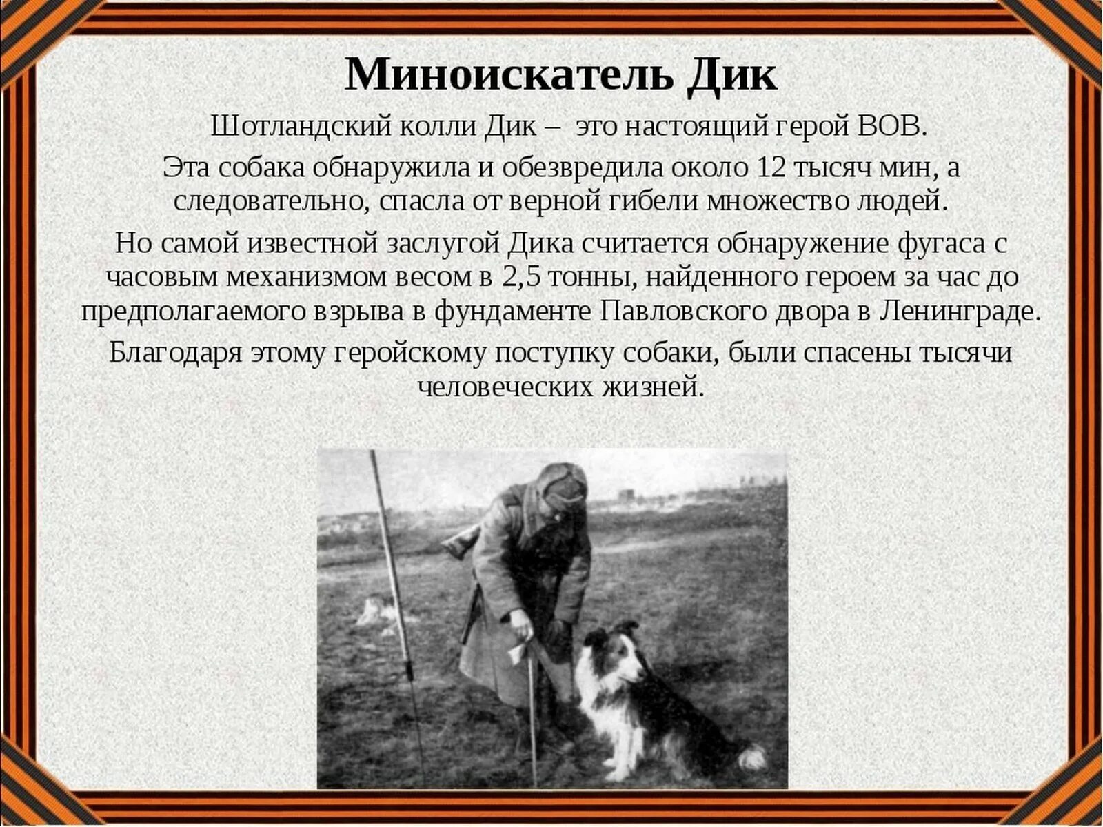 Рассказ собаки герои. Рассказ собаки герои. Собаки герои. Истории собак героев. Немецкая овчарка джульбарс.