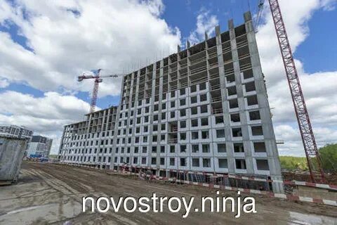 Эко бунино самолет