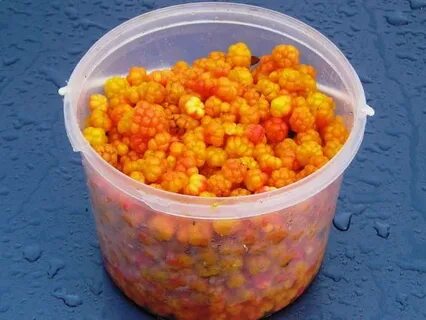 Сушеная морошка