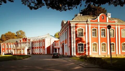 Сайт академия мечникова