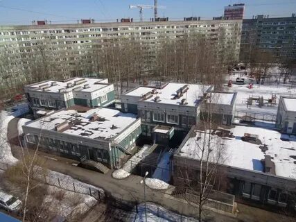 Королева 33 спб