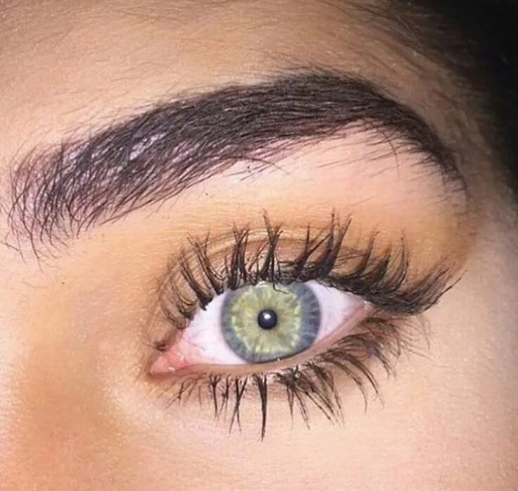 Amp It Up Lashes, Natural makeup for brown eyes, Eyelashes