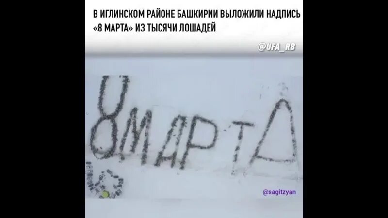 Надпись из людей. Школьники в снегу. Надпись из трупов российских солдат. Надпись выложенная телами. Школьники в снегу.