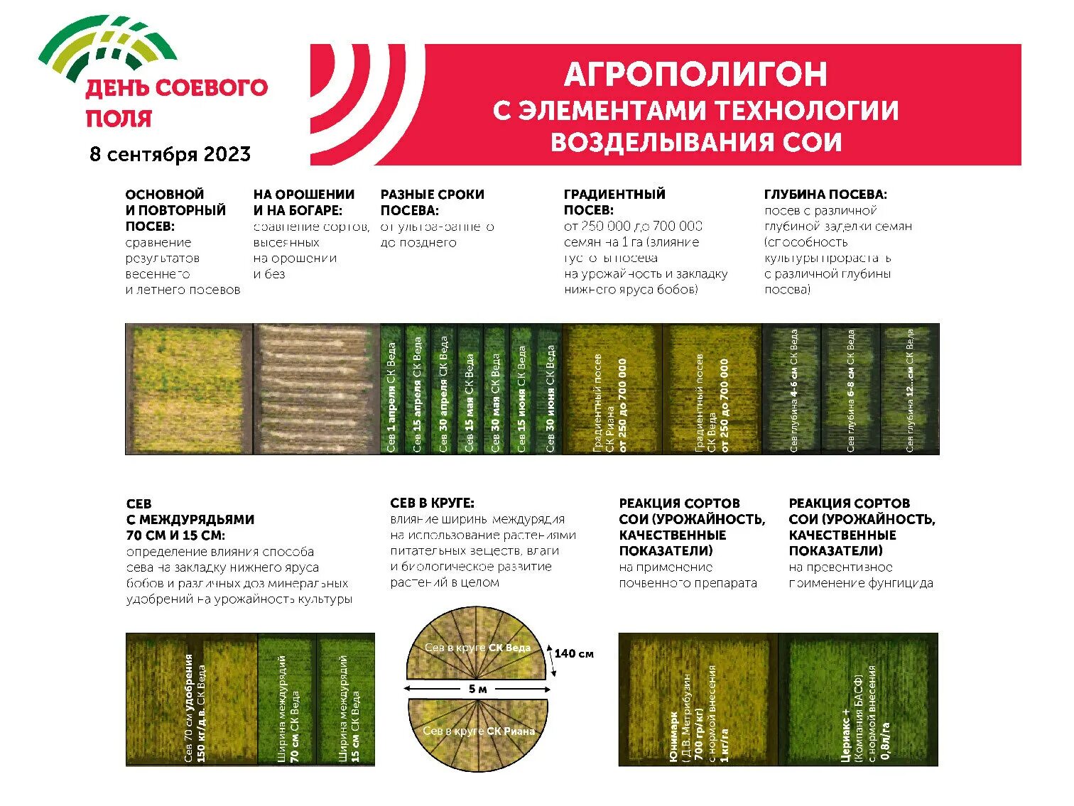 Соя веда. Соя веда