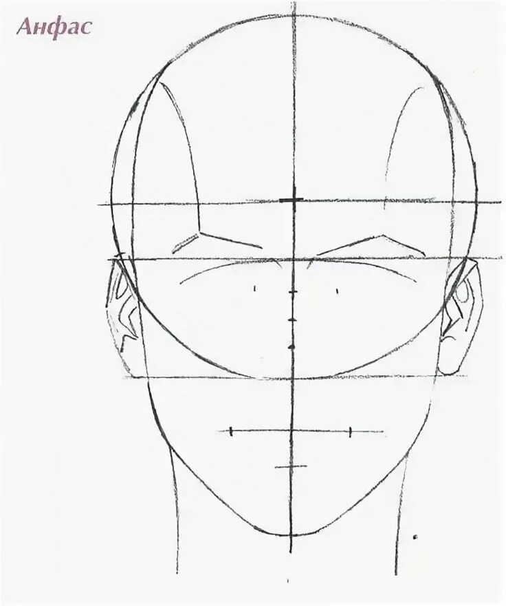 Лицо рисунок схема. Пропорции женского лица в профиль и анфас. Построение лица человека. Построение лица человека карандашом. Чертеж головы.