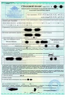 Фамилия полис