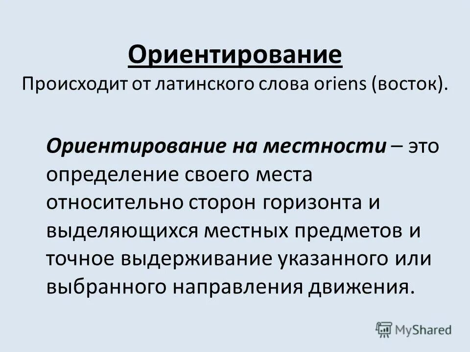 типы ориентации в пространстве. происходит ориентация. происходит ориентация. способы ориентации животных. происходит ориентация.