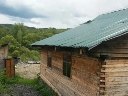 Погода березовая грива