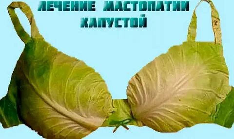 Капустный лист при мастопатии молочных