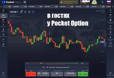 Торг платформа