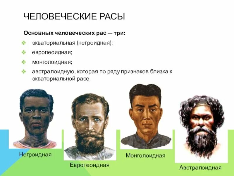 Большие расы сохраняют общевидовые особенности. Европеоидная монголоидная негроидная. Европеоид монголоид негроид. Человеческие расы. Основные человеческие расы.