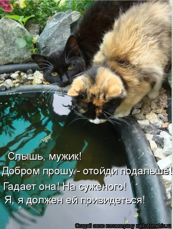 дари добро с красными волосами.