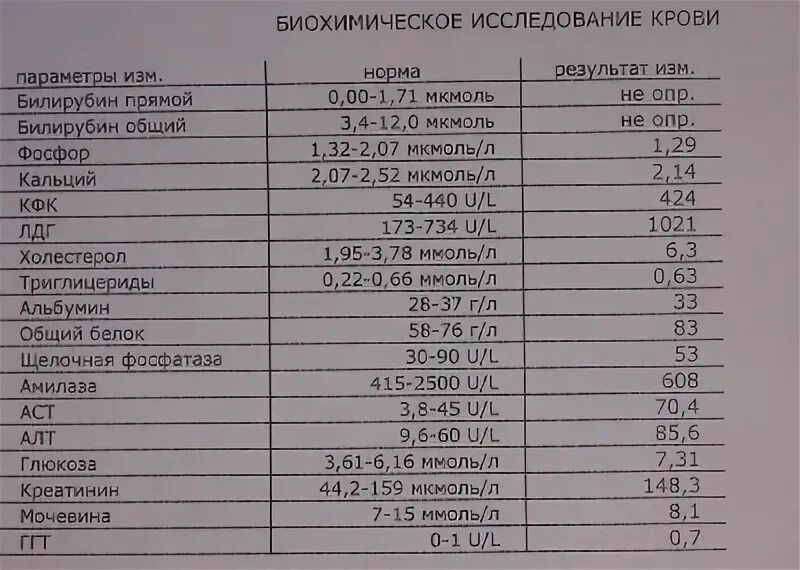 Chol в биохимическом анализе что это