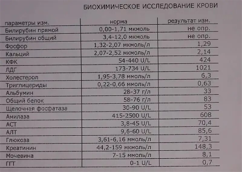 Общий белок у кошек. Биохимический анализ крови при абсцессе легкого. Биохимический анализ крови диабет. Общий анализ крови при абсцессе. Биохимический анализ крови у алкоголика.