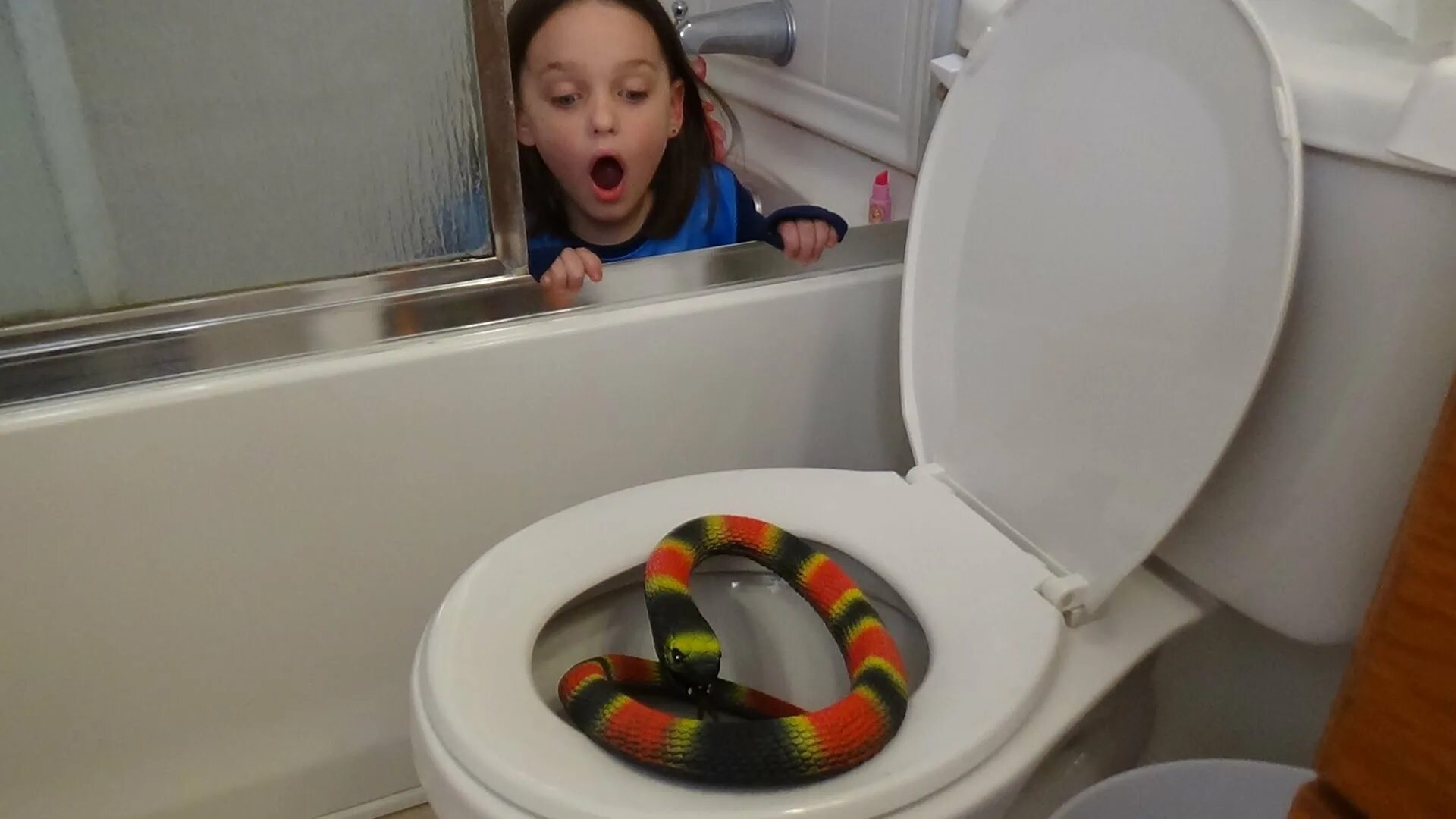 Туалет спать последняя версия. Ребенок на унитазе. Туалет спать последняя версия. Туалет спать последняя версия. Туалет спать последняя версия.