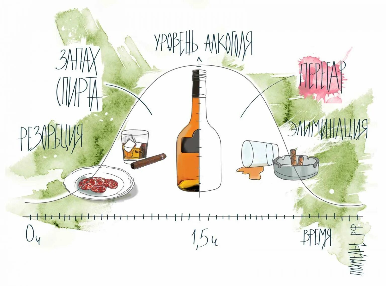 Что делать чтоб не воняло. Чем избавиться от перегара. Как убрать перегар изо рта быстро в домашних.