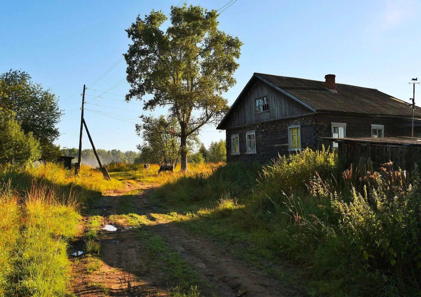 Деревня Ломляево Городецкого района Нижегородской. Лето в деревне. Деревенская улица. Деревенская улочка. Лето в деревне часть 5