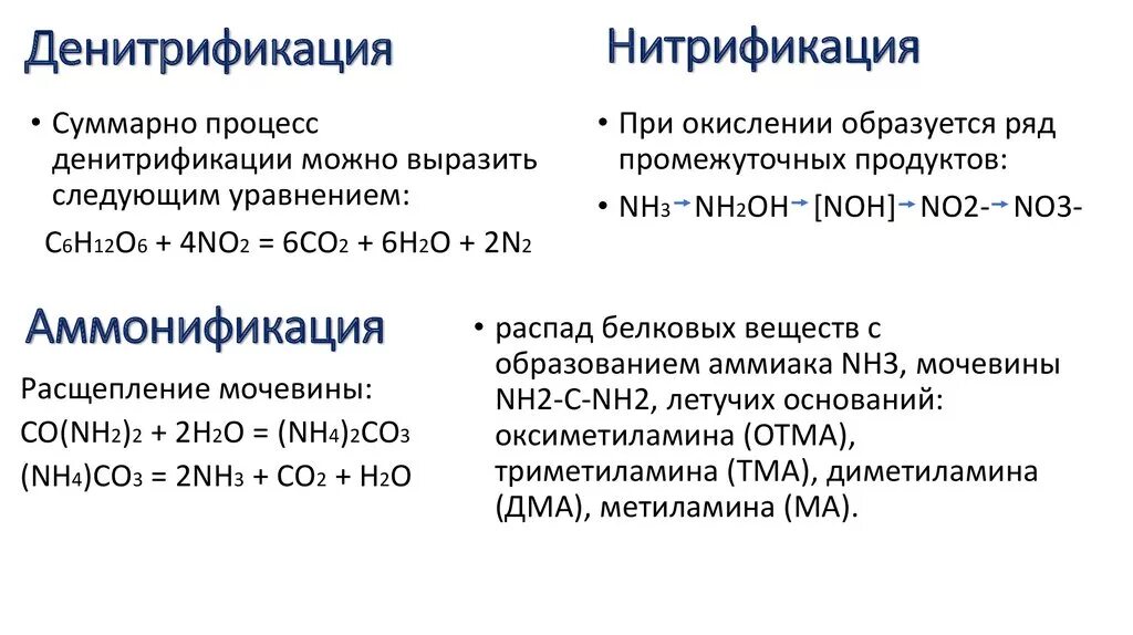 Процесс нитрификации. Схема процесса нитрификации денитрификации. Реакция нитрификации азота. Денитрификация и нитрификация сточных вод в аэротенке. Денитрификация сточных вод реакции.