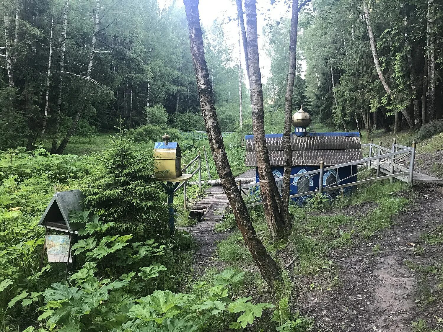 Дорога в лавру тропа пешеходная маршрут. Тропа в лавру. Lavra trail. Тропа белой ласки. Эко тропа дорога в лавру.