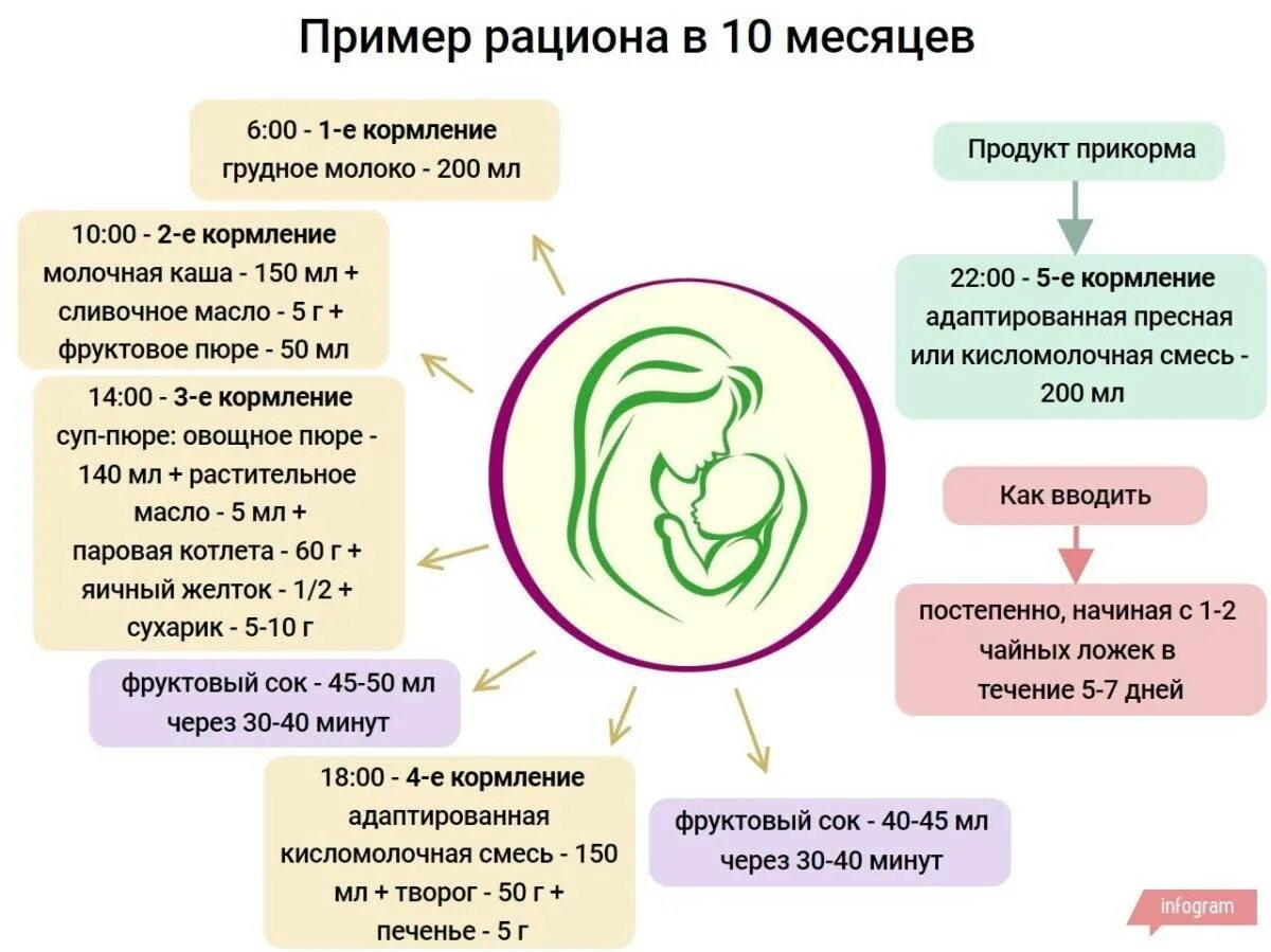 Что можно давать 11. Рацион питания ребёнка в 10 месяцев на грудном вскармливании. Питание 10 месячного ребенка на грудном вскармливании. Рацион питания 10 месячного ребенка на искусственном вскармливании. Рацион питания для 10 месячного ребенка на гв.