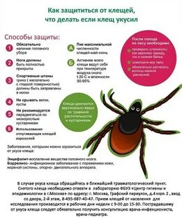 Укусил клещ что делать симптомы