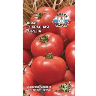 Томат красная стрела отзывы урожайность