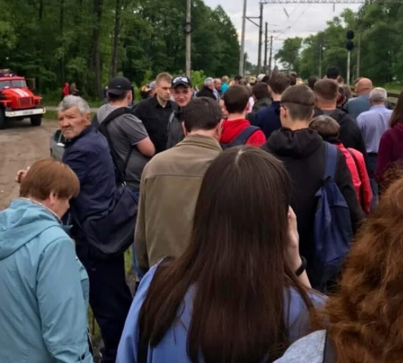 Брянск подслушано типичный новости брянска. Электричка Сельцо Брянск. Железнодорожная станция в Сельцо. Сельцо Брянская область.