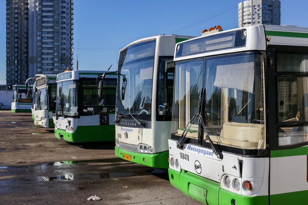 Номера автобусов до кладбища. Автобус 510 Домодедовское кладбище. Кладбище автобусов Мосгортранс. Кладбище автобусов в Москве. 510 Автобус Москва.