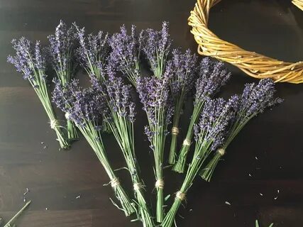 Лаванда натуральная