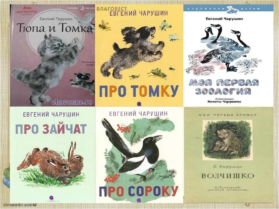 Е и н чарушины