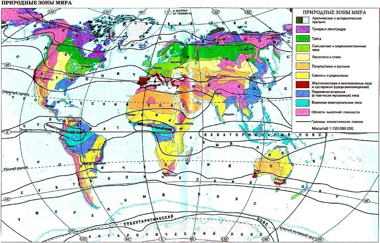 Природные зоны отмеченные на карте. Карта природных зон мира 7 класс. Географическая карта мира с природными зонами. Карта климатических поясов мира и природных зон. Карта природных зон мира 6 класс.