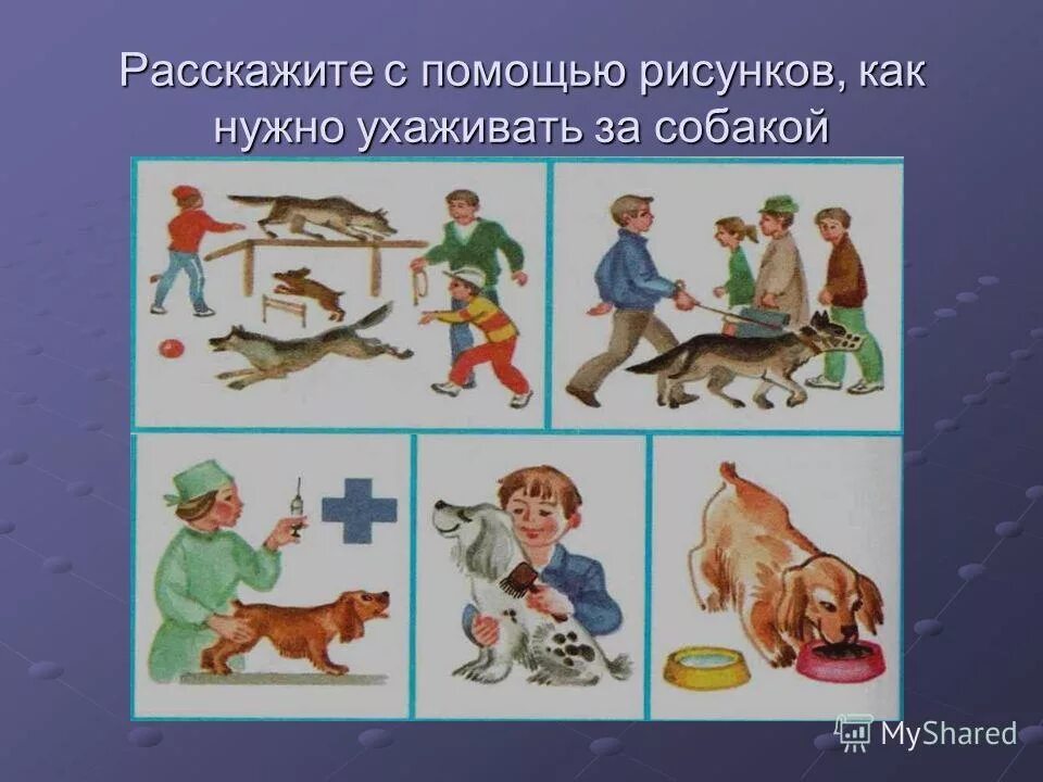 Забота о людях в литературе. Правила ухода за собакой. Как ухаживать за домашними животными для детей. Как ухаживать за собакой. Памятка ухода за домашними животными.