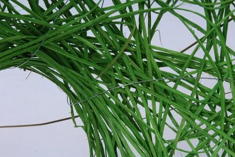Ротанг кг