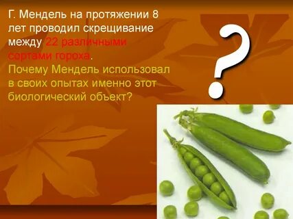 Г мендель горох