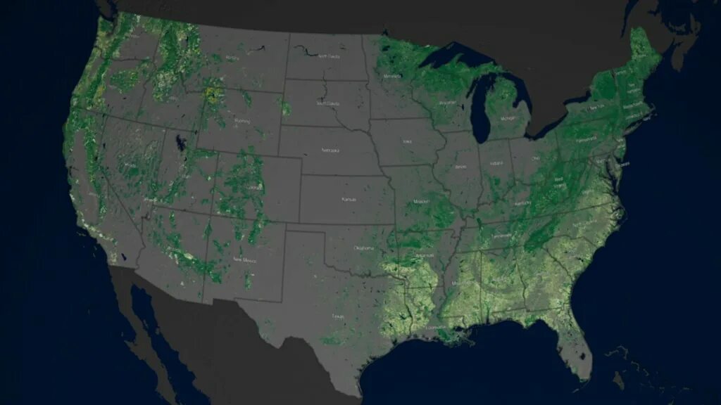 Динамик мап. Динамик Map. Nebraska Forest. Forests from Satellite infographics.