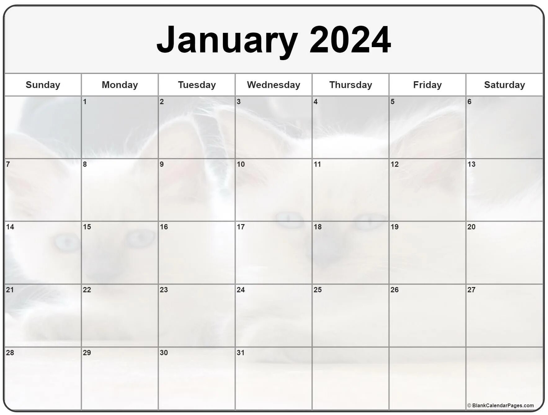 Таблица июль 2025. Календарь октябрь 2025. календарь октябрь ноябрь 2025. календарь июль 2025. october 2025 calendar ежедневник.