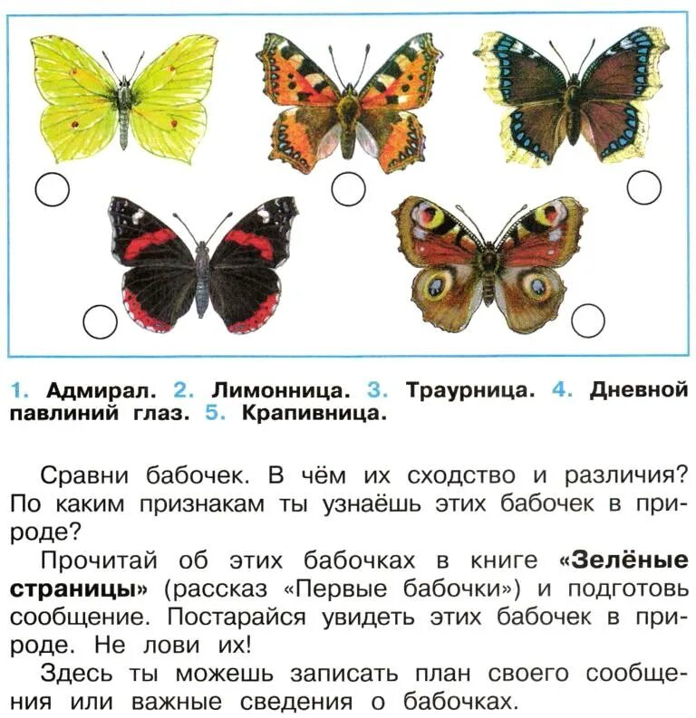 Окружающий мир 2 класс рабочая тетрадь бабочки. Бабочки Адмирал лимонница траурница. Крапивница лимонница Адмирал траурница. Бабочки Адмирал лимонница траурница павлиний глаз крапивница. Бабочки Адмирал лимонница траурница павлиний.