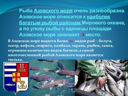 Азовское море рыба