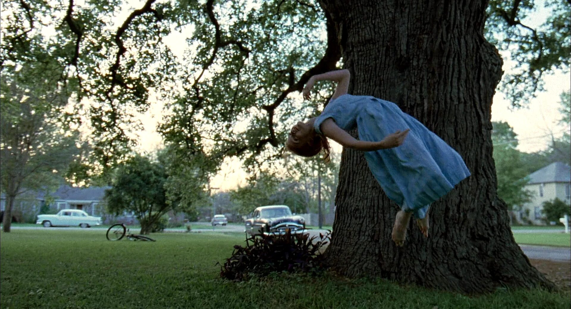 Into the tree. Терренс малик древо жизни. «древо жизни» (2011), терренс малик. древо жизни  the tree of life (2011). древо жизни терренса малика.