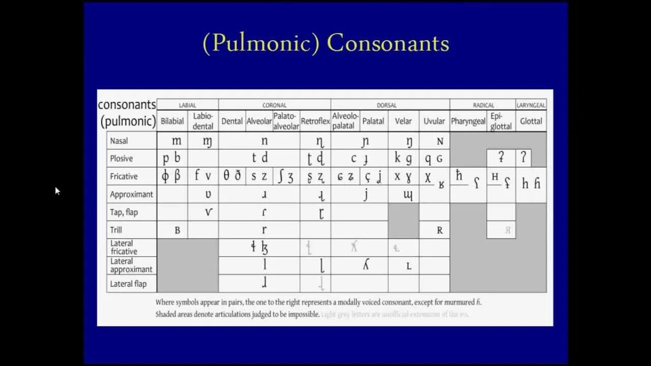 The consonant c. Pulmonic consonants. lateral consonants. consonant sounds. labial consonants examples.