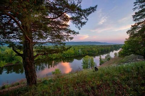 Поволжье природа