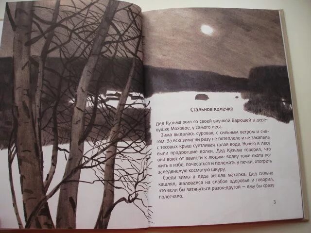 Паустовский колечко краткое содержание. Стальное колечко книга книги константина паустовского. пословицы к сказке стальное колечко.