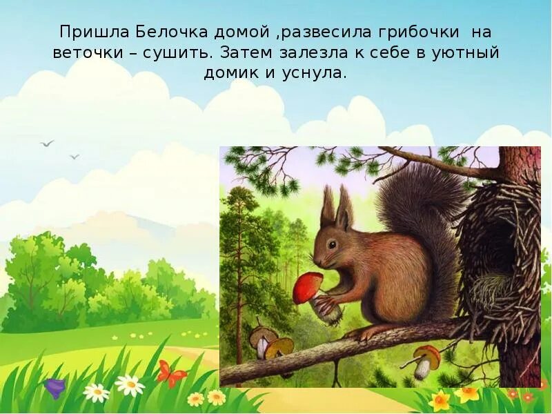 Белки слайд. Описание белки кратко. Белка короткий рассказ. Белка короткий рассказ. Стишки.