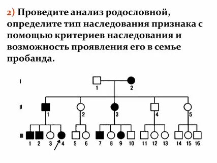 Клинико генетический метод