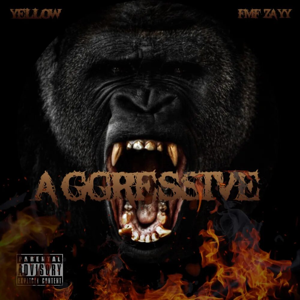 Чбчг aggressive. Be aggressive фото. Aggressive safrimxv. Rock agressivo Single.