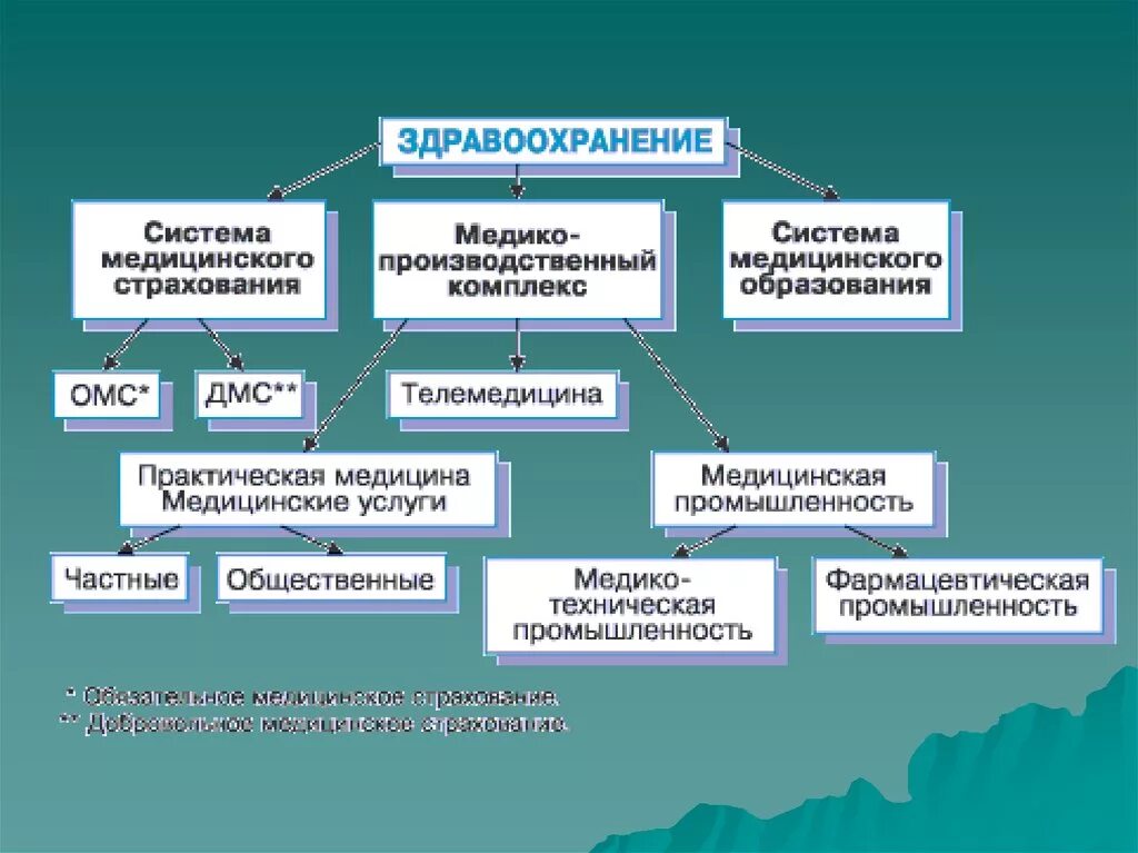 Состав учреждений здравоохранения